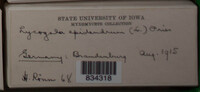 Image Associated With the Occurence